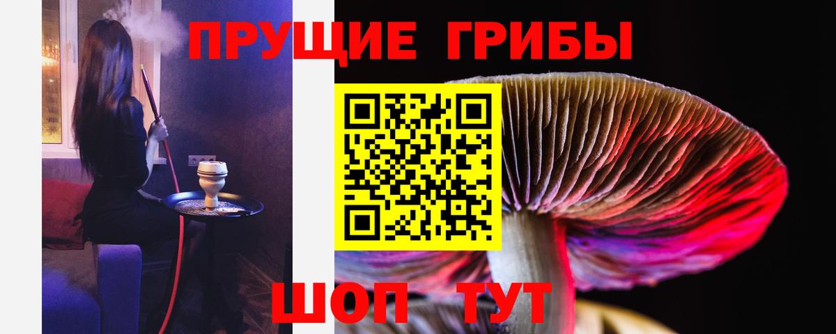 Псилоцибиновые грибы прущие грибы  Вход с VPN  Благодарный 